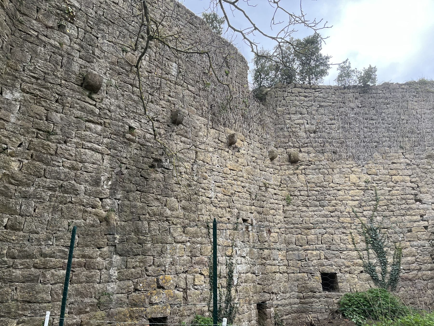 Vue d'ensemble de l'enceinte médiévale du château d'Albières