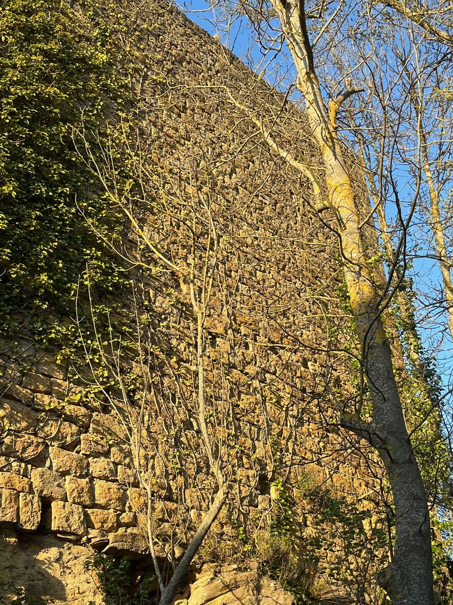 Pan de muraille Extérieur (Nord Est) du château