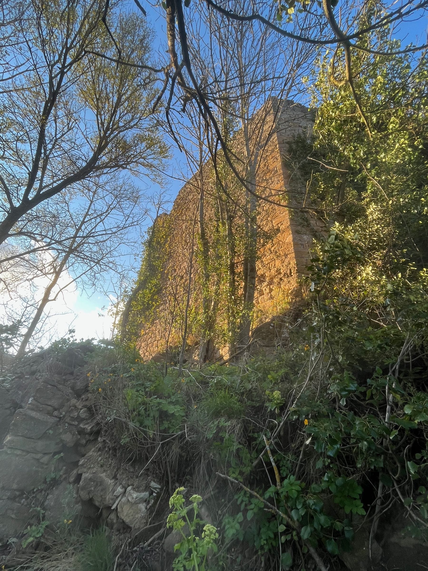 Photo du château d'Albières