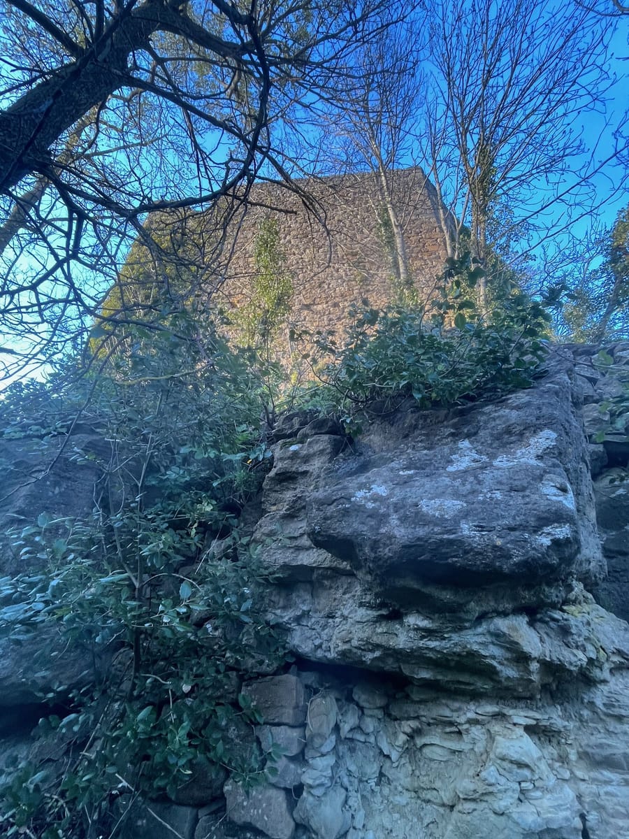Vestiges du château gagnés par la végétation